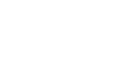 IQ Camoda